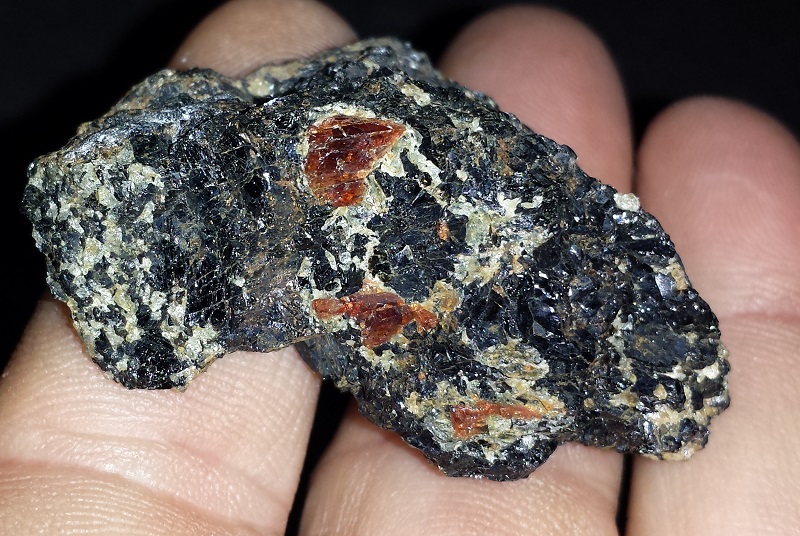 Garnet on Amphibolite