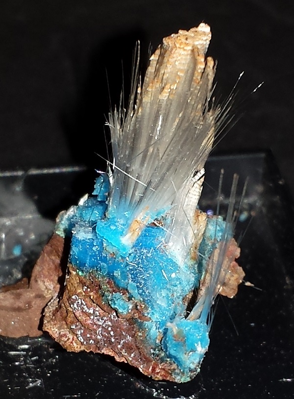 Halotrichite with Chalcanthite