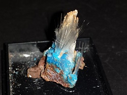 Halotrichite