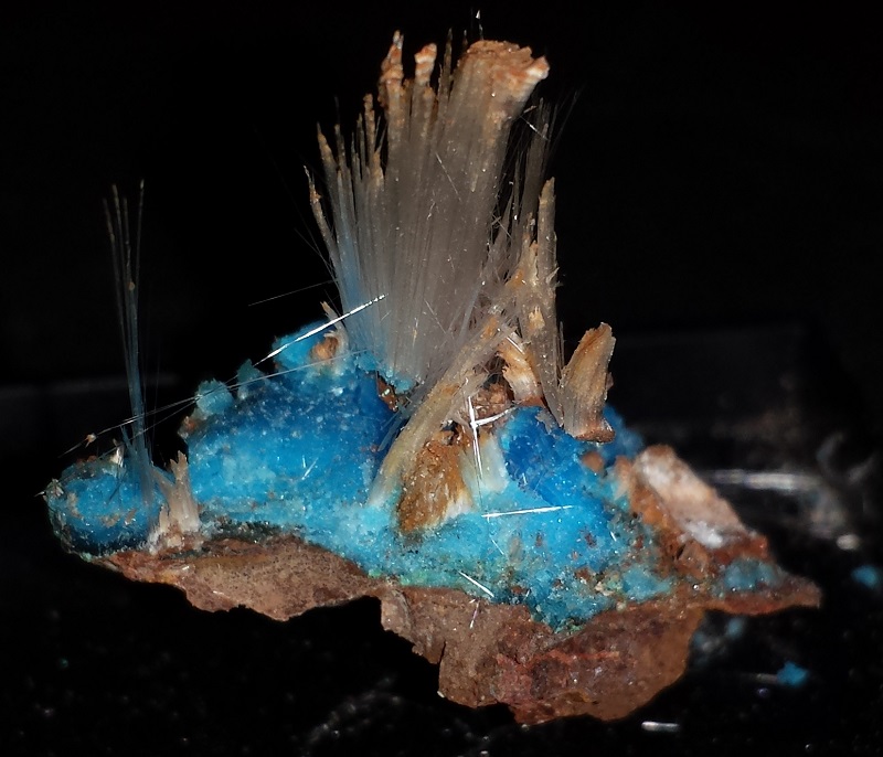 Halotrichite with Chalcanthite