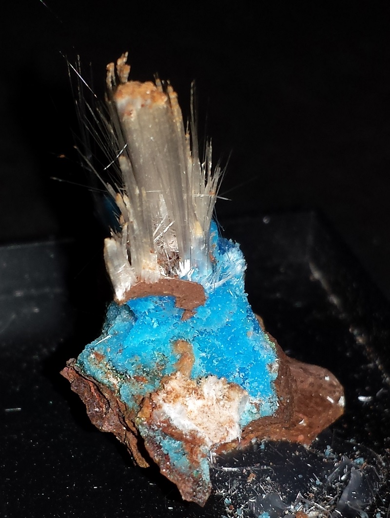 Halotrichite with Chalcanthite