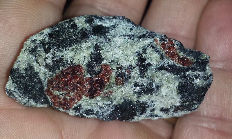 Garnet on Amphibolite