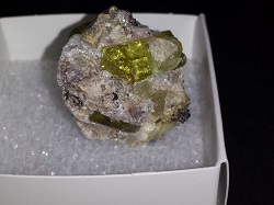 Apatite