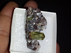 Apatite