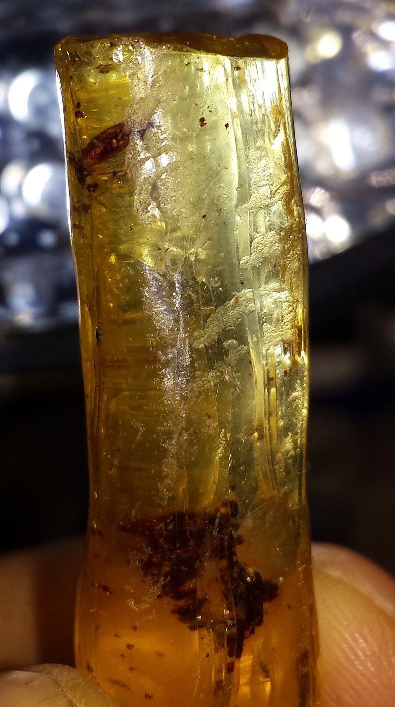 Insect included, Copal Amber