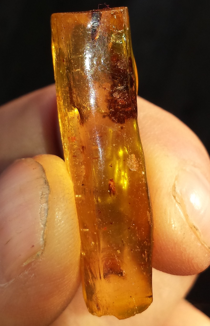 Insect included, Copal Amber