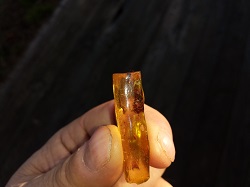 Insect included, Copal Amber