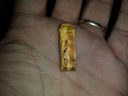 Insect included, Copal Amber