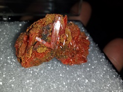 Crocoite