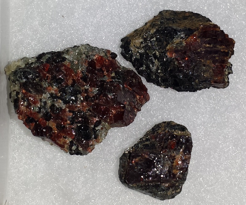 Garnet on Amphibolite