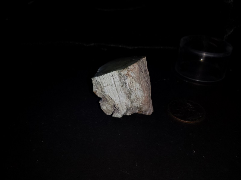 Petrified Wood