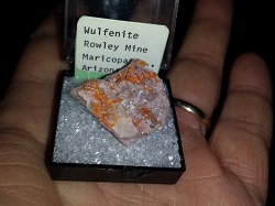 Wulfenite