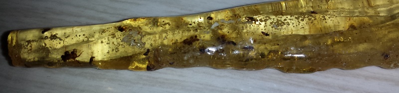 Insect included, Copal Amber