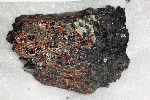 Garnet Crystals on Amphibolite