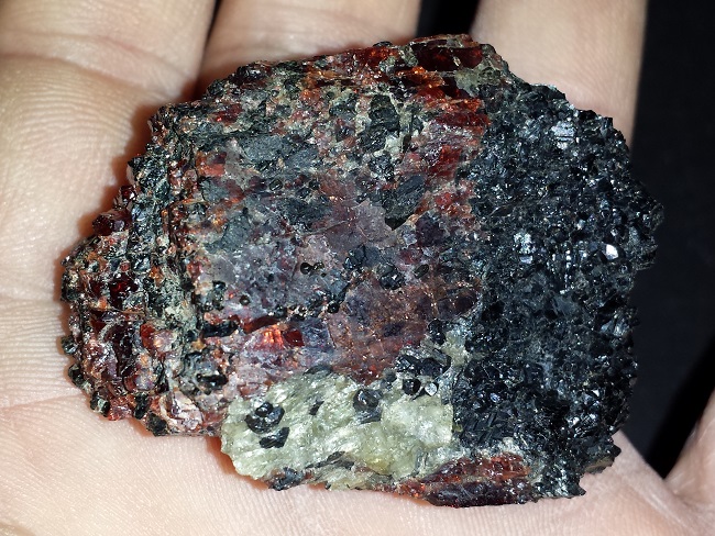 Garnet Crystals on Amphibolite