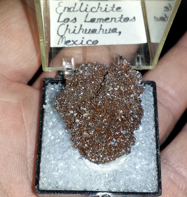 Endlichite specimen