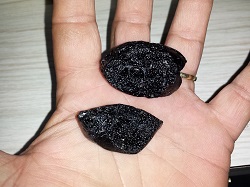 2 Tekite Specimens