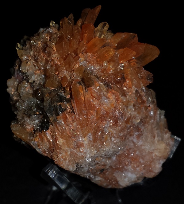 Creedite