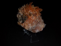 Creedite