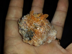 Creedite