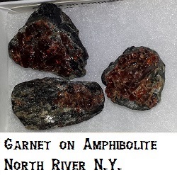 Garnet on Amphibolite specimen