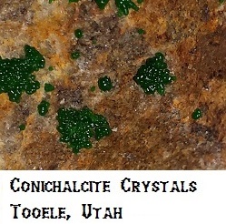  Conichalcite specimen